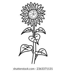 Ilustración de girasoles vectores, contorno floral negro y blanco aislado en fondo blanco