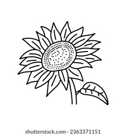 Vector Sunflowers illustration, Black and White Floral outline set isolated on white background