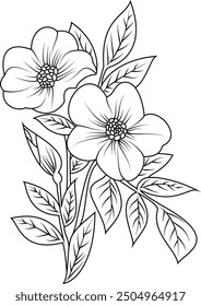 Vektor Sonnenblumen Illustration einzeln auf weißem Hintergrund Schwarz-Weiß Blumenumriss Set, Sonnenblumen Sommer 