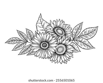 Vector sunflowers illustration, line art floral composition. Graphic monochrome drawing. Hand drawn flowers outline sketch, engraved illustration. Design element for coloring book page, tattoo, logo.