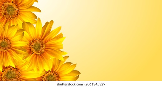 Vector Sunflowers on a yellow background. Seeds and oil. Flat lay, top view, copy space. Sunflower natural background for banner, infographics, advertisement, greeting card. Vector illustration EPS10.