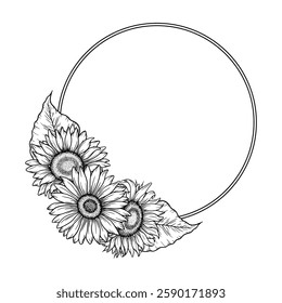 Vetor girassóis em volta da ilustração quadro, coroa floral de arte de linha. Desenho monocromático gráfico. Desenhado à mão esboço flores esboço, ilustração gravada. Modelo para convite de casamento, logo.