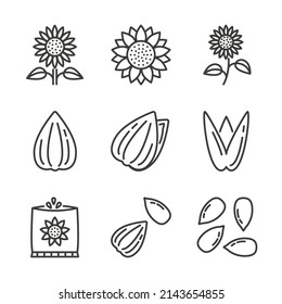 Giros vectoriales e icono de semillas conjunto en estilo lineal, aislado en fondo blanco