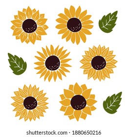 Vector Sunflowers set isolated on white background. Hand drawn flat Sunflower illustration. Summer flower clipart.