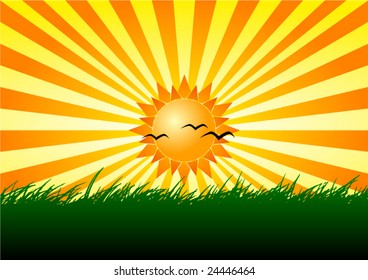 vector sunny day with green grass, hot sun with yellow rays and three birds silhouettes