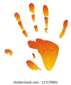 Vector sunny hand splashes with lion head