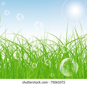 vector sunny spring green field and blue sky