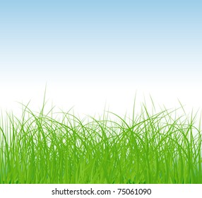 vector sunny spring green field and blue sky