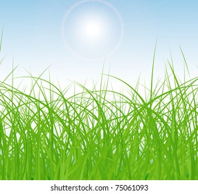 vector sunny spring green field and blue sky