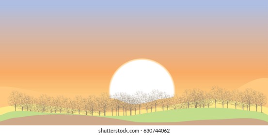 Vector sunset fields landscape illustration