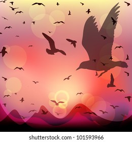 Vector sunset landscape with flying birds