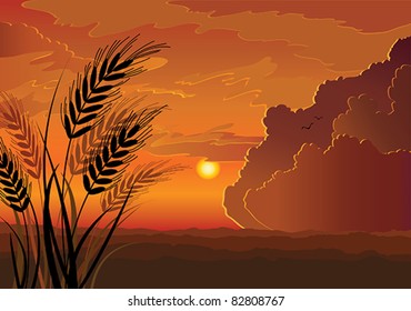 Vector sunset landscape with silhouette of rye, hill and red cloudy sky background