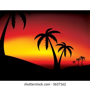 Vector sunset with palm