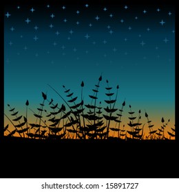 Vector sunset with plants