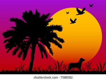 vector sunset scene with a dog and bird silhouettes