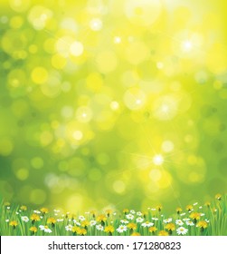 Vector sunshine background with chamomile and dandelion.