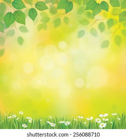 Vector sunshine background with chamomile and dandelion.