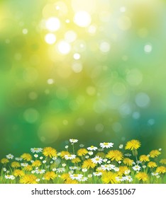 Vector sunshine background with chamomiles and dandelions.