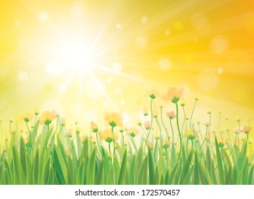 Vector sunshine background with yellow flowers.