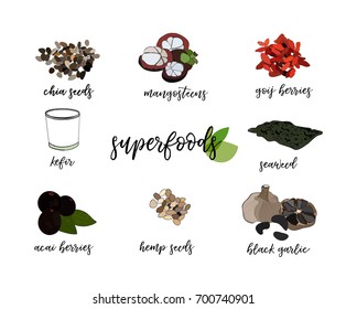 vector super food illustration. goij berries, chia seeds, seaweed, black garlic, hemp, kefir, akai, mangosteen.