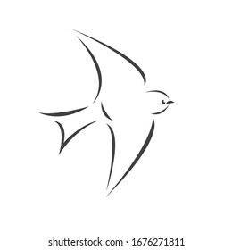 Vector swallow flying design on white background. Bird. icon. Wild Animals. symbol. logo.