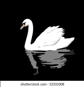 Vector swan