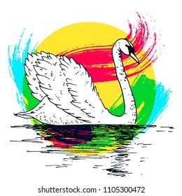 Vector swan illustration with reflection and abstract watercolor paint splash. Swimming elegant swan bird, beautiful wild nature sketch. Royal swan ink outline illustration, hand drawn animal.