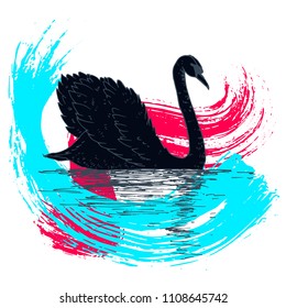 Vector swan illustration with reflection and abstract watercolor paint splash. Swimming elegant swan bird, beautiful wild nature sketch. Royal swan ink outline illustration, hand drawn animal.