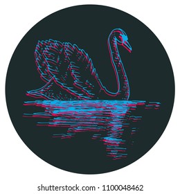 Vector swan illustration with reflection. Swimming elegant swan bird, beautiful wild nature sketch. Royal swan ink outline illustration, hand drawn animal.