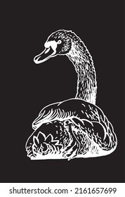 Vector cisne aislado en dibujo negro, gráfico 