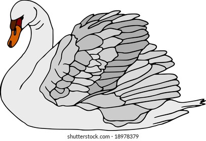 vector - cisne aislado en fondo blanco