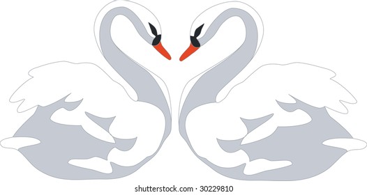 Vector. Swans couple