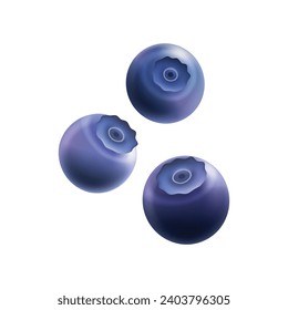 Vector Sweet blueberry con menta fresca sobre fondo blanco