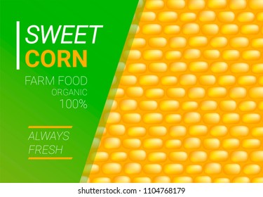 Vector Sweet Corn illustration. Farm food template. Isolated background with a grain of corn.