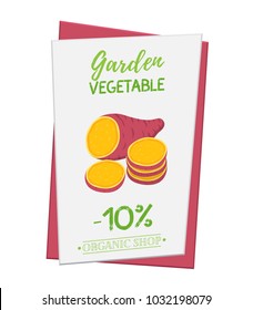 Vector sweet potato poster, banner for discount, sale. Fresh vegetable. Garden organic plant in cartoon flat style. Vegetarian concept