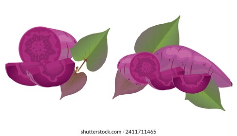 
batata vectorial o un tipo de batata con cabeza morada.