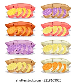 vector sweet potatoes slices set isolated on white background. raw batatas potato slices. healthy organic food, vegetable agriculture illustration.