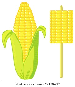 Vector Sweetcorn