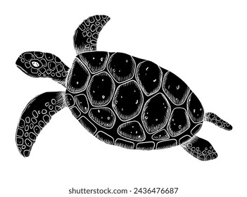 Vector swimming glyph silhouette turtle isolated on white background. Hand drawn illustration ocean or underwater animal