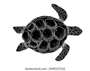 Vector swimming glyph silhouette turtle isolated on white background. Hand drawn illustration ocean or underwater animal
