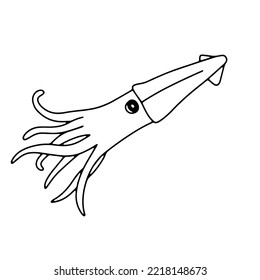 Vector swimming squid isolated on white background. Hand drawn outline doodle illustration ocean or underwater animal