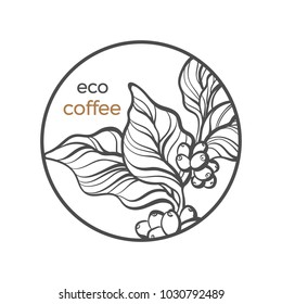 Vector symbol of coffee tree, branch with bean, grain Botanical art line drawing logo in circle Realistic plant in round frame Eco tropic drink Nature graphic sketch Herb organic illustration 