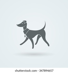 Vector Symbol of Pretty Walking Italian Greyhound. Simple Illustration.