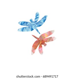 Vector symbols geometry of a dragonfly on a white background