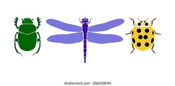 Vector symbols of good luck, success and prosperity. Isolated color images on a white background. Dragonfly, ladybug, scarab beetle.
