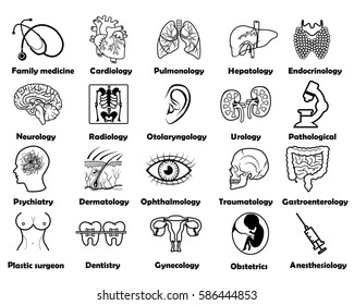 vector symbols of medical sciences and professions on a white background
