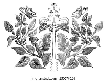 Vector symmetric ornament with butterfly and rooster on the berry plants