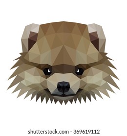 Vector symmetrical illustration of a pomeranian spitz dog on a white background. Made in low poly triangular style.