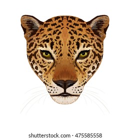 Vector symmetry portrait of jaguar big cat face