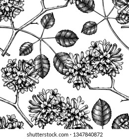 Vector Tabebuia (Pau D'arco) background. Floral seamless pattern. Hand drawn flowering tree sketch. Botanical design template. Vintage medical plant drawing.